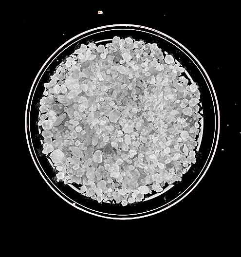 White Granuels Salt